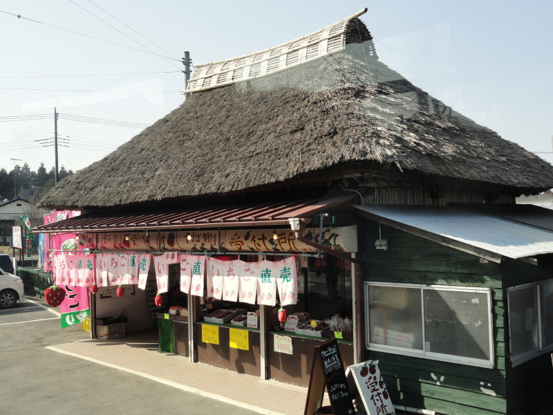 img0017.jpg