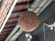 img0014.jpg