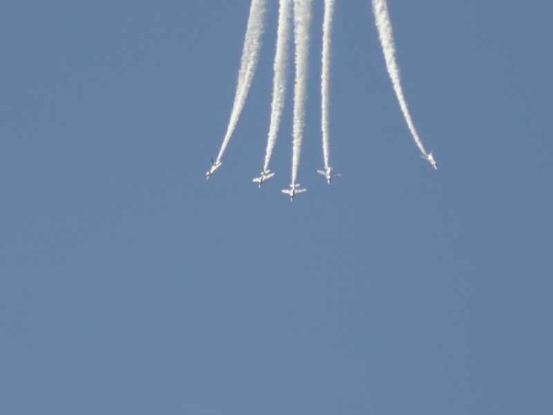 img0056.jpg
