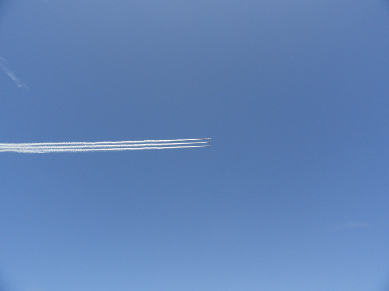 img0085.jpg
