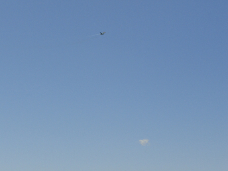 img0142.jpg
