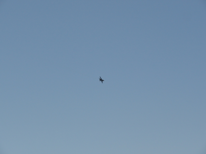 img0147.jpg