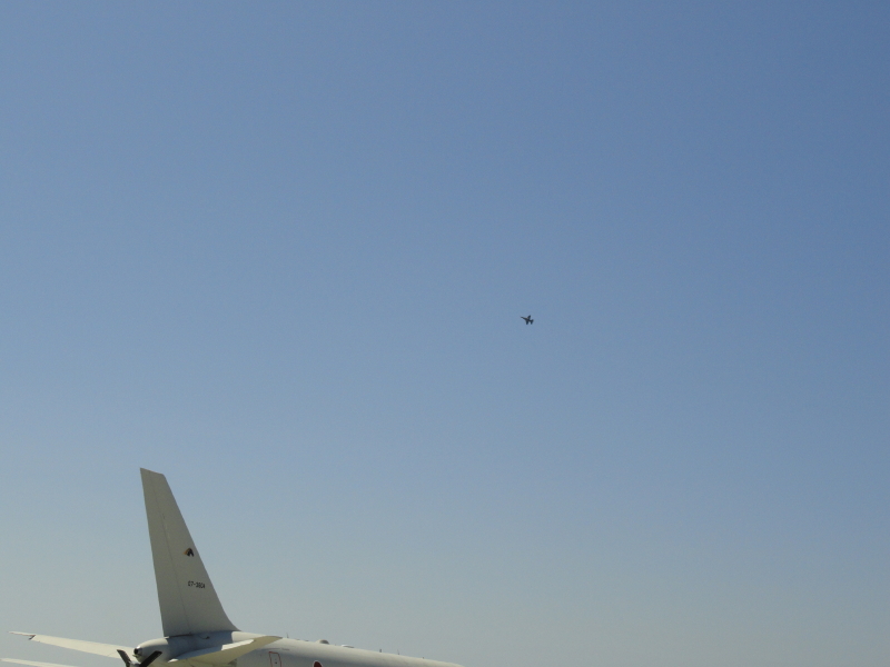img0148.jpg