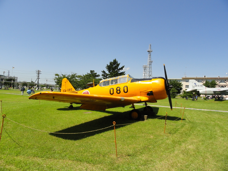 img0150.jpg