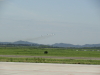 img0046.jpg