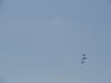 img0053.jpg
