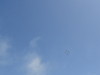img0072.jpg