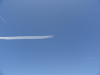 img0085.jpg