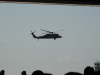 img0137.jpg