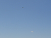 img0142.jpg