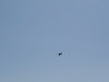 img0144.jpg