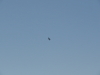 img0147.jpg