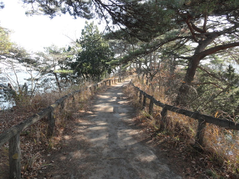 img0051.jpg