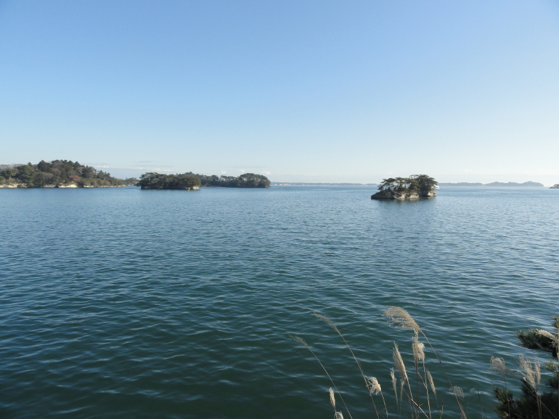 img0059.jpg