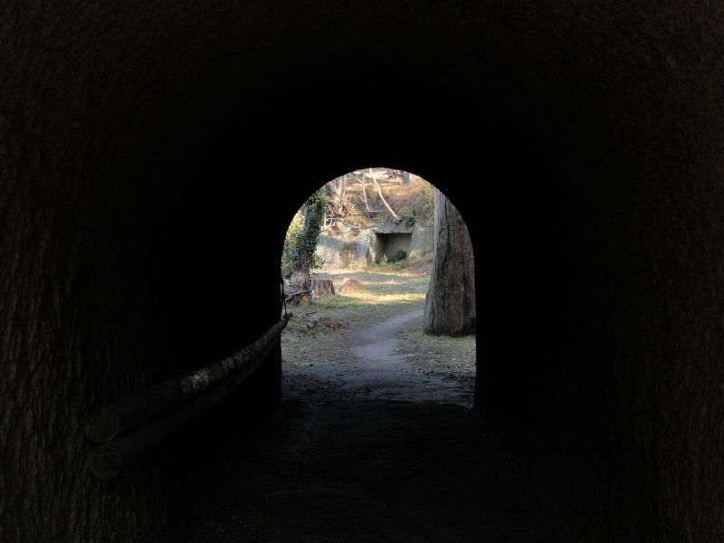 img0077.jpg