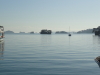 img0000.jpg