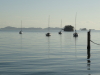 img0007.jpg