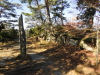 img0033.jpg
