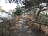 img0051.jpg
