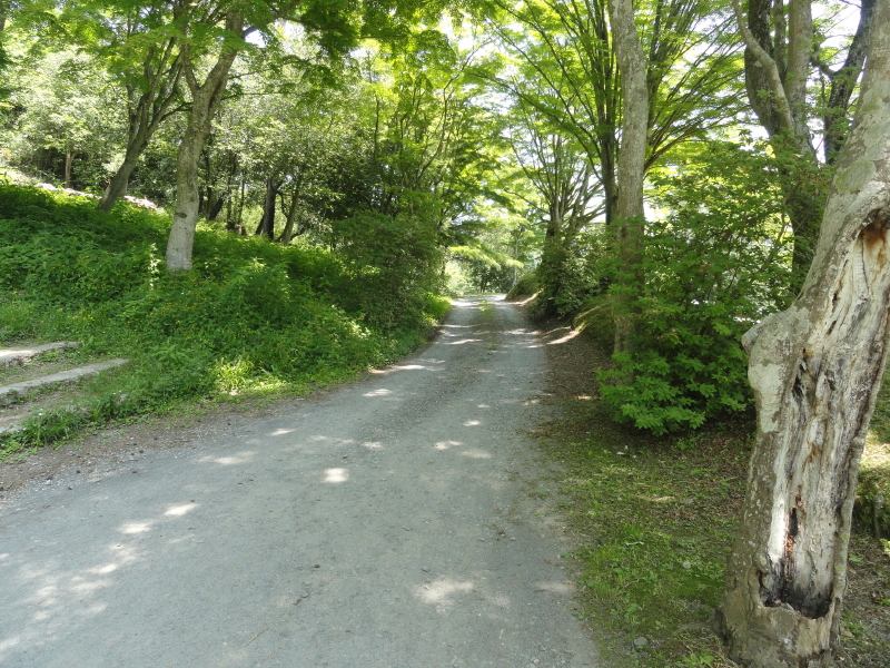 img0000.jpg