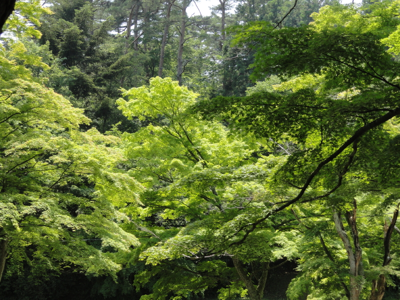 img0005.jpg