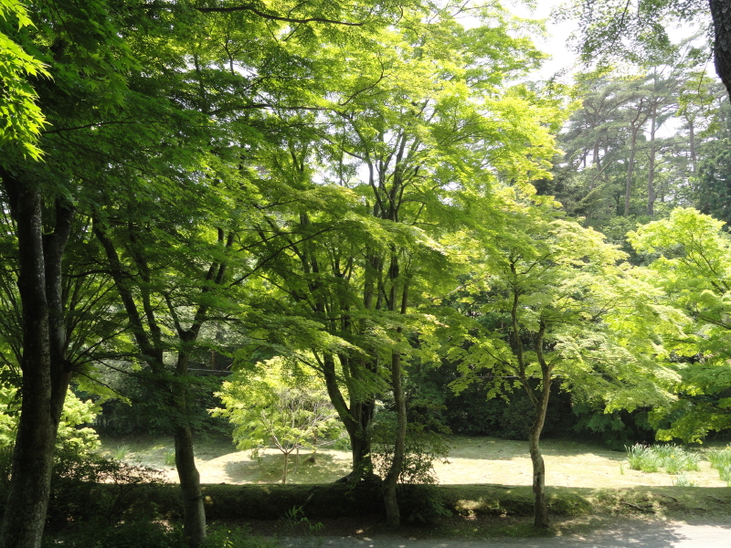 img0006.jpg