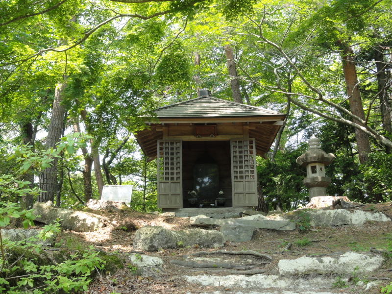 img0010.jpg