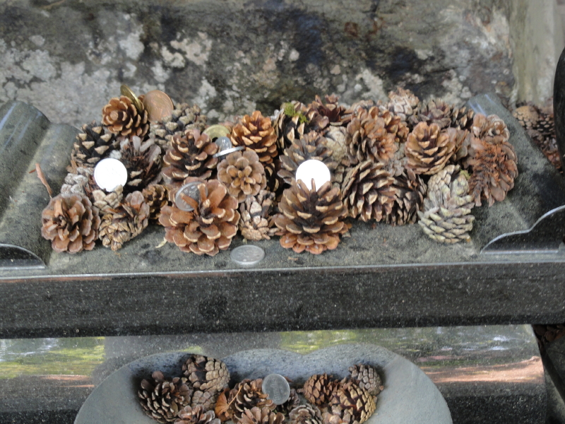 img0015.jpg