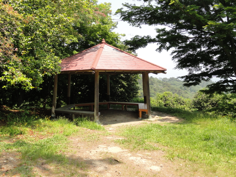 img0029.jpg