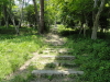 img0002.jpg