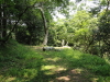 img0019.jpg