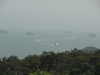 img0042.jpg