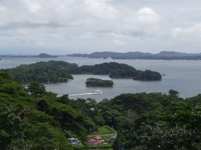 img0009.jpg