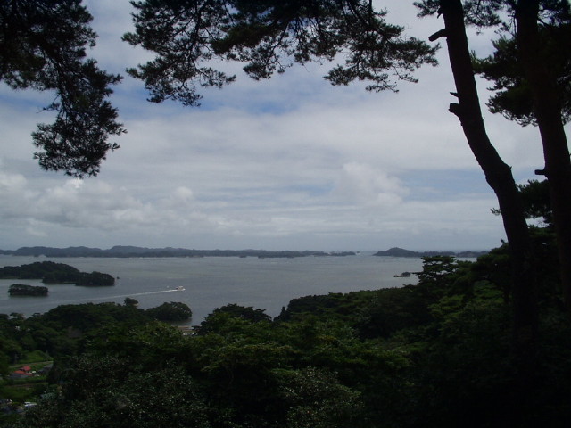 img0010.jpg