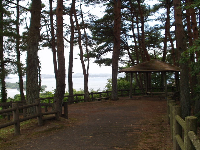 img0017.jpg