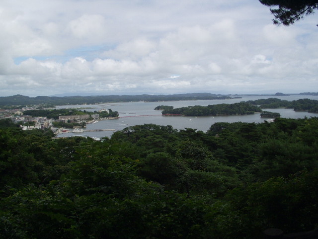 img0019.jpg