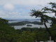 img0001.jpg