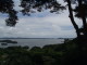img0010.jpg