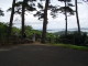img0011.jpg