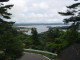 img0016.jpg