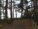 img0017.jpg