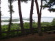 img0018.jpg