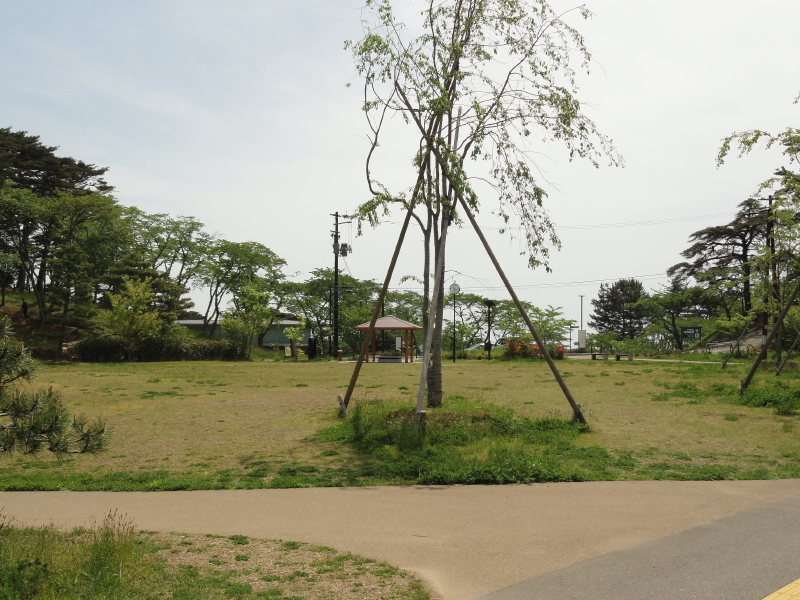 img0001.jpg