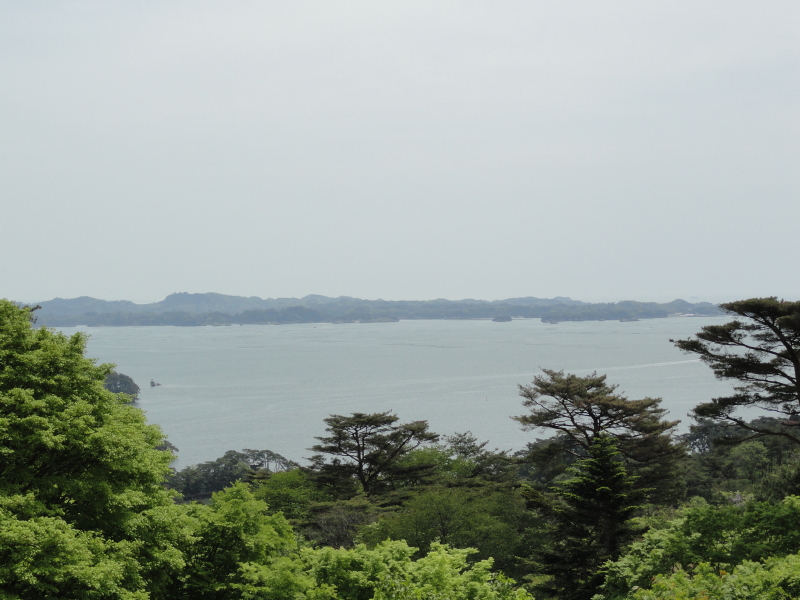 img0007.jpg