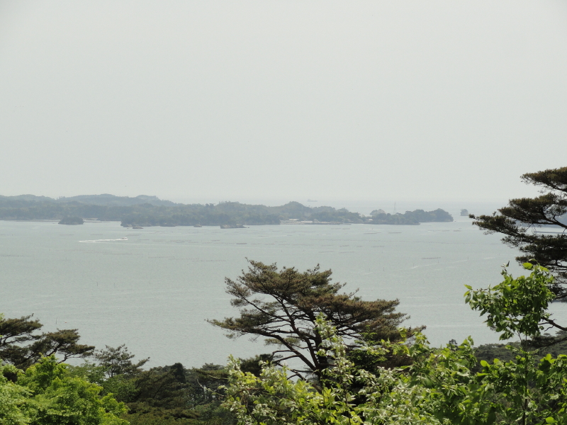 img0012.jpg