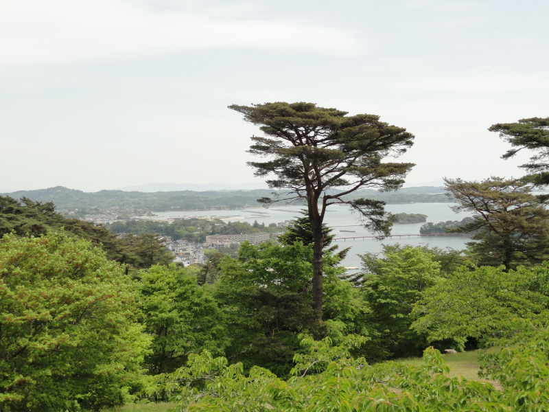 img0024.jpg