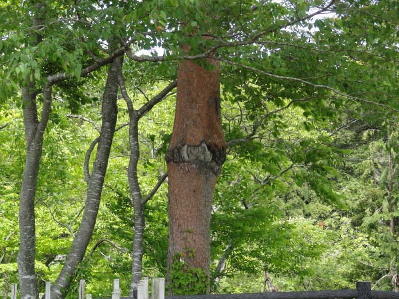img0042.jpg