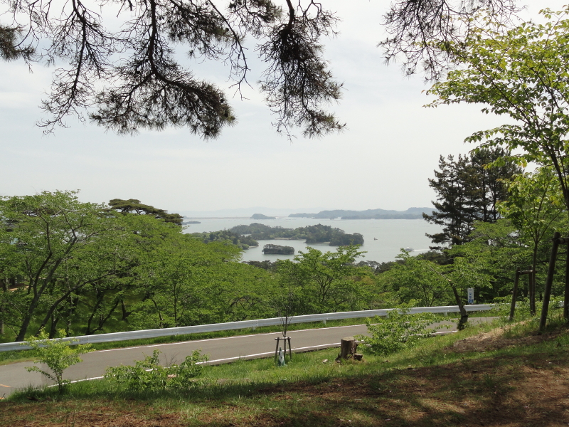img0049.jpg
