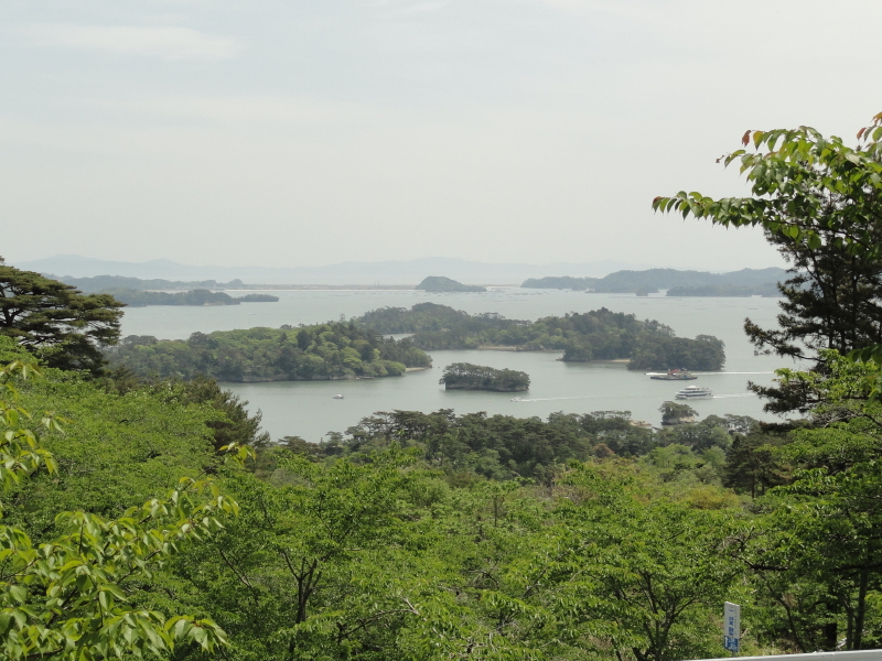 img0051.jpg