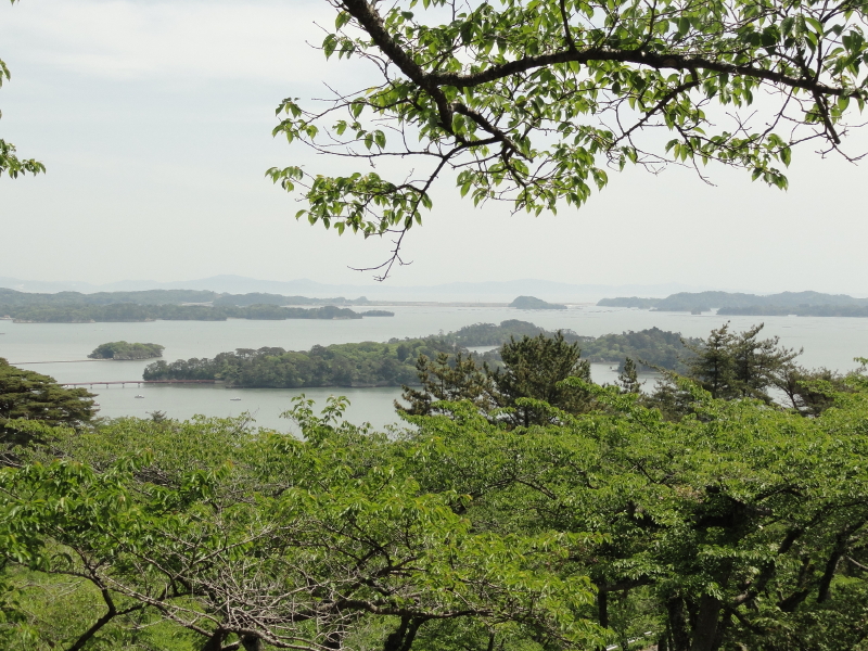 img0059.jpg